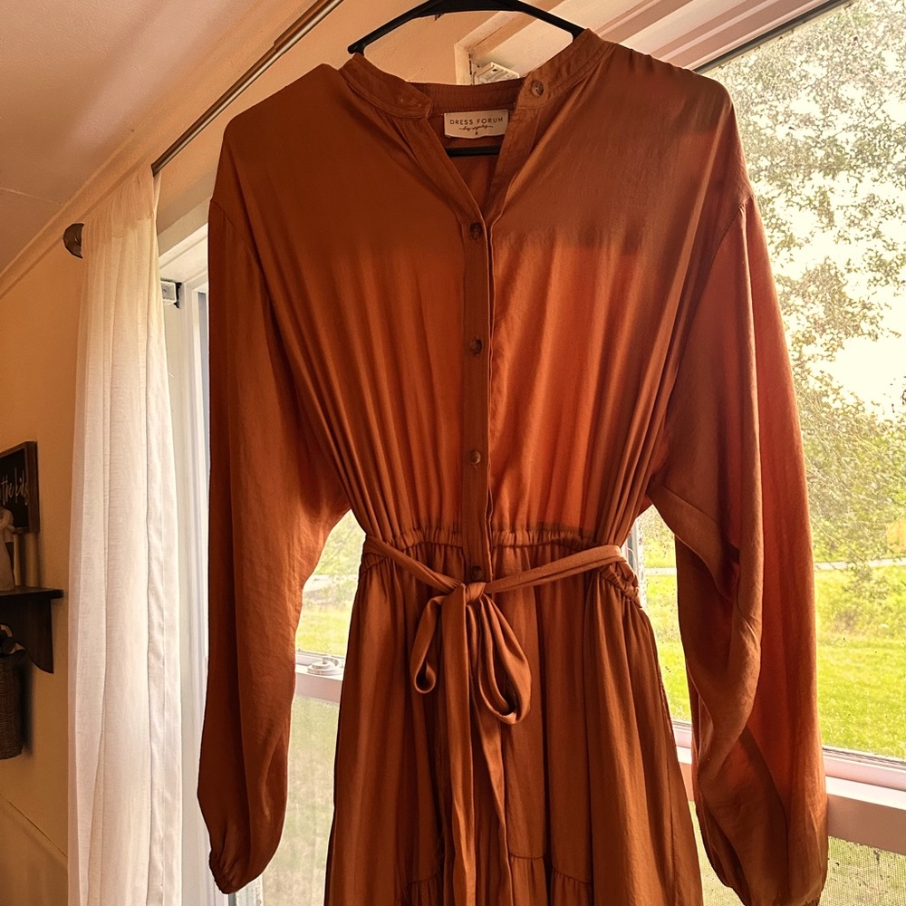 Silk Maxi Rust dress